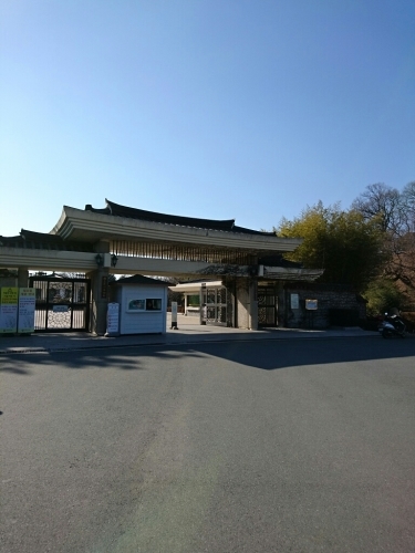 a0164657_21332032.jpg
