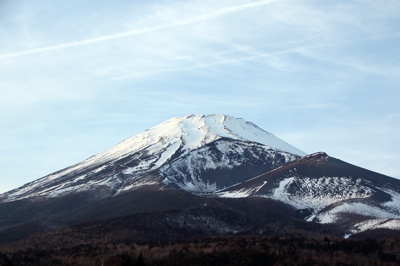 a0167759_21542.jpg