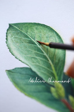 緑の絵の具は使わない Atelier Charmant のボタニカル 水彩画ライフ
