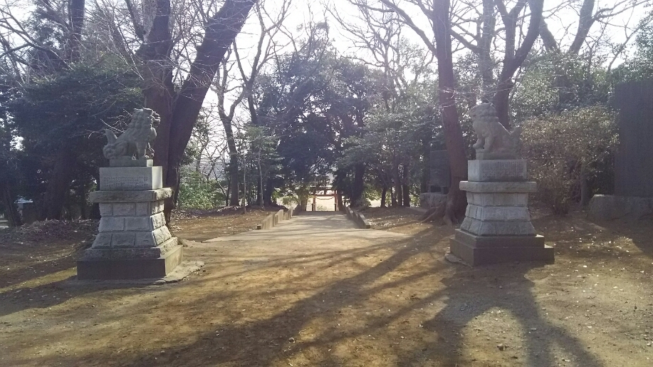 d0052263_11111856.jpg
