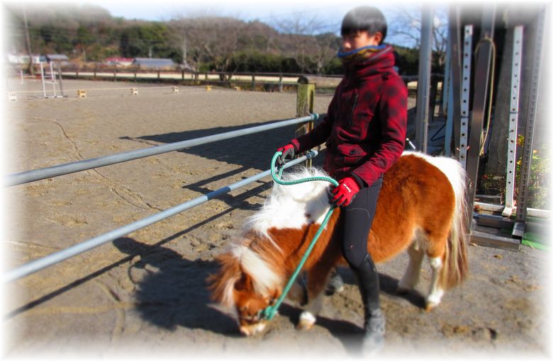 お馬のマンボちゃん…♪_d0175974_20291873.jpg