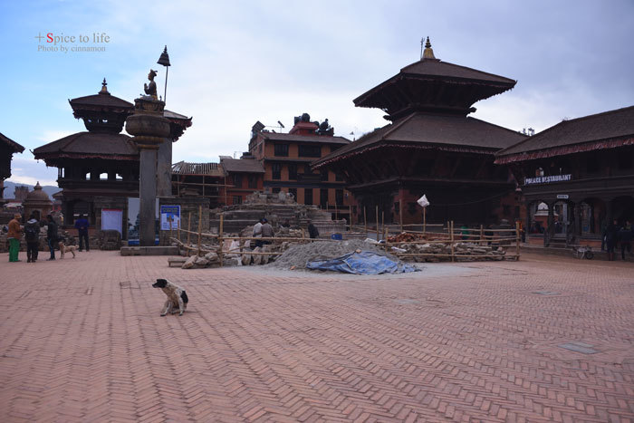 Escape to Nepal(古都バクタプル編)_f0326278_22123936.jpg