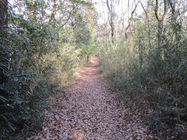 f0362589_19495420.jpg