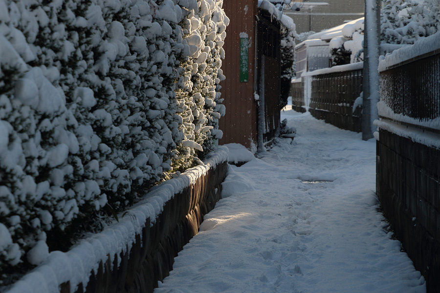 17.01.15：雪の散歩道１_c0007190_192718.jpg