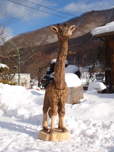 ワサビの花芽と山のキリンと(追記あり-2017/02/07)_f0236291_05453560.jpg