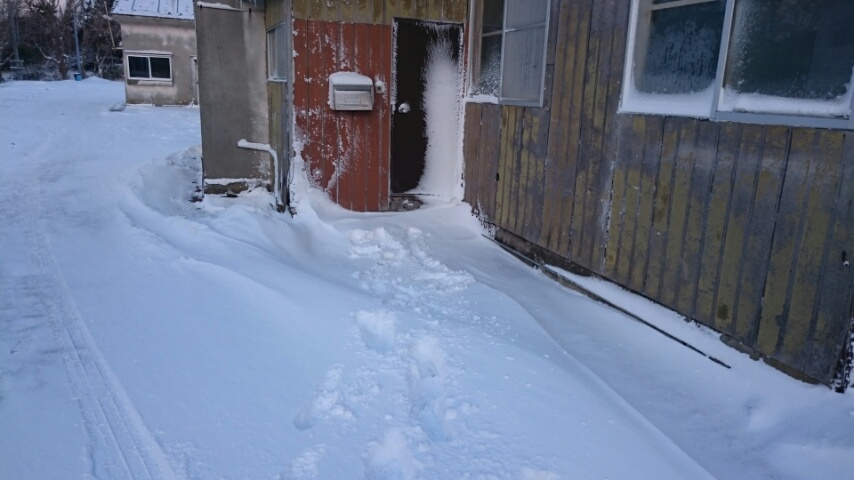 d0149105_755311.jpg
