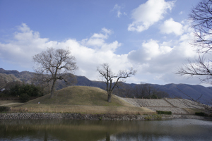 f0359911_23214489.jpg