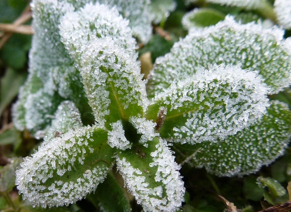 c0042418_18054710.jpg