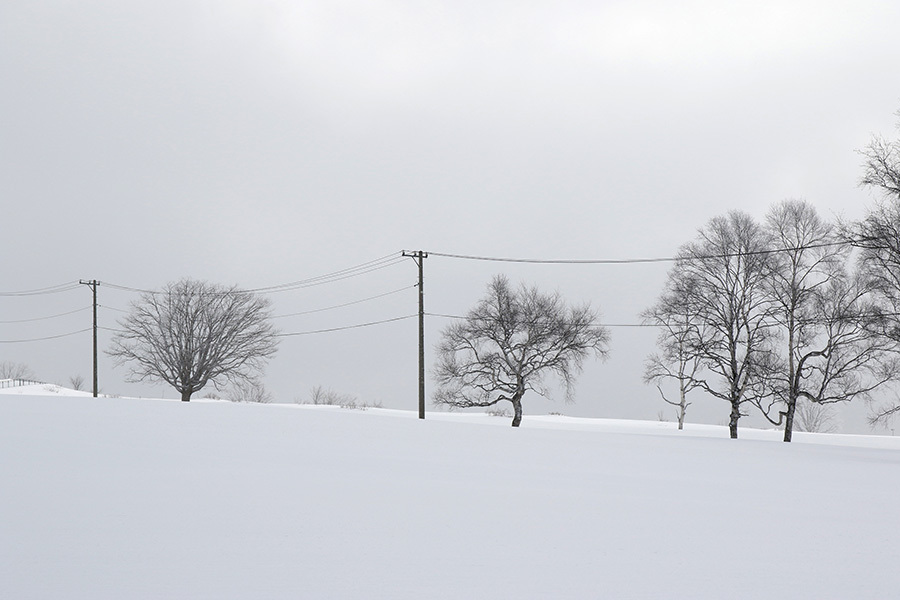 【スノーシュー】2017 1/23 雪深き菅平_c0035245_21211369.jpg