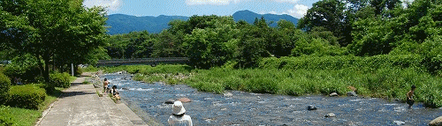 a0290852_20191317.gif
