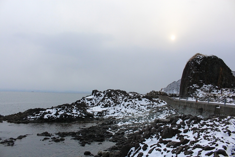 1月29日　日浦の海岸で　２_b0250154_21505376.jpg