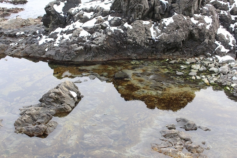 1月29日　日浦の海岸で　２_b0250154_21524175.jpg