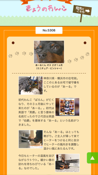 b0334654_23551486.png