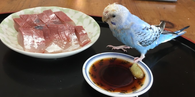 聞いた覚え、魚は煮る、焼く、生の順で鮮度が大事と思いと逆だがハマチもそんな気がする。能登産だが今シーズン最高に美味し。誕生会前日買い翌日解体してくれるか聞いてみよう。_e0082956_06415941.jpg