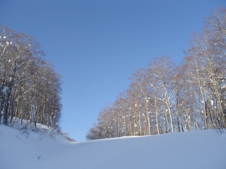 a0344771_14434164.jpg