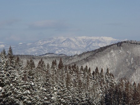 a0344771_14441715.jpg