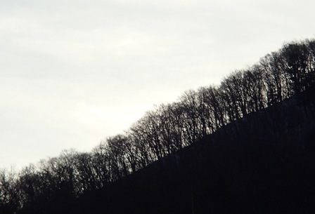a0344771_14443995.jpg