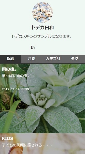 画像を大きく表示できるスキン「どでかスキン」をリリースしました！_a0029090_14480017.jpg