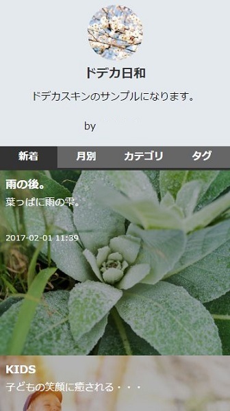 画像を大きく表示できるスキン「どでかスキン」をリリースしました！_a0029090_14480673.jpg