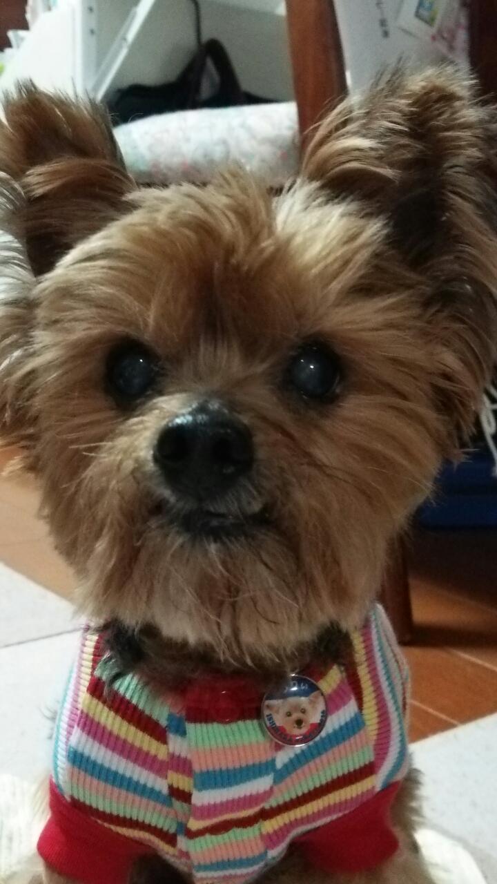 c0191390_2241712.jpg