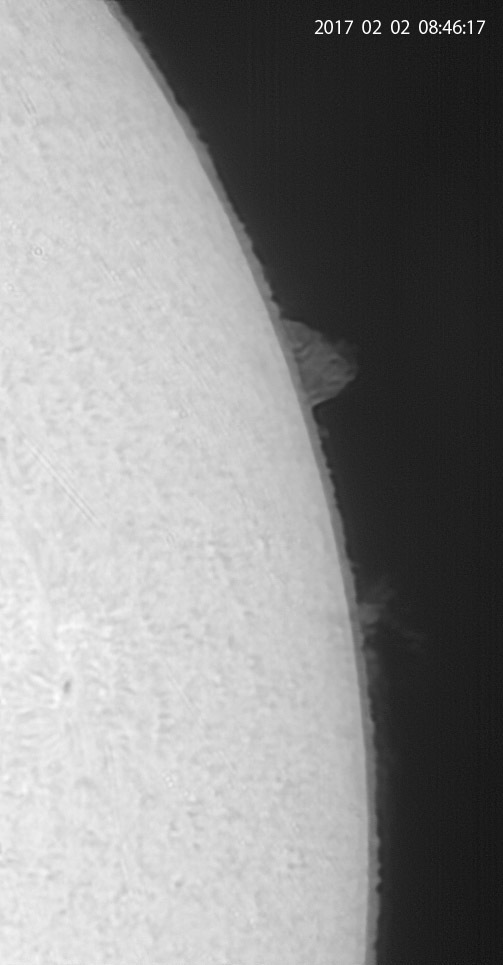 2月2日の太陽_e0174091_15342438.jpg