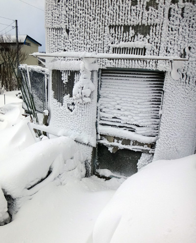 吹雪の朝のミャンハウス入り口付近_a0136293_1791026.jpg