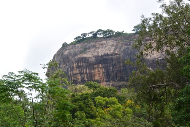 b0195093_16554964.jpg