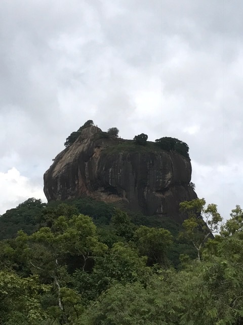 b0195093_16565686.jpg