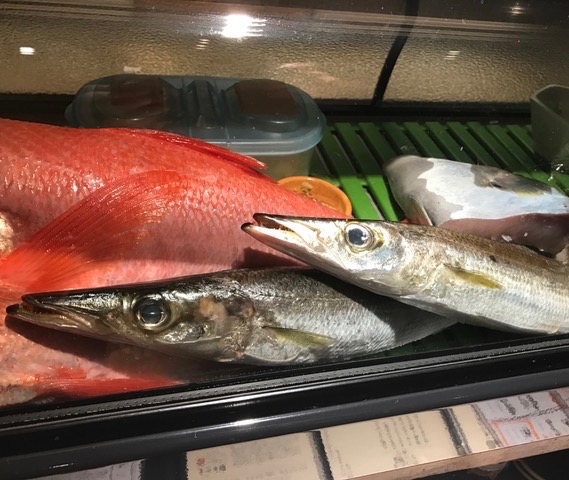 特大かます_f0232994_13301831.jpg
