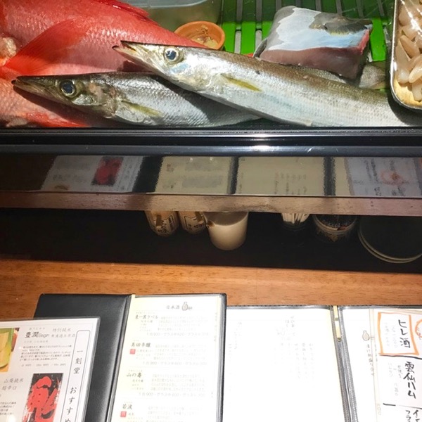 特大かます_f0232994_1330366.jpg