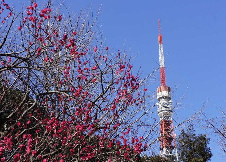 b0112909_15041765.jpg