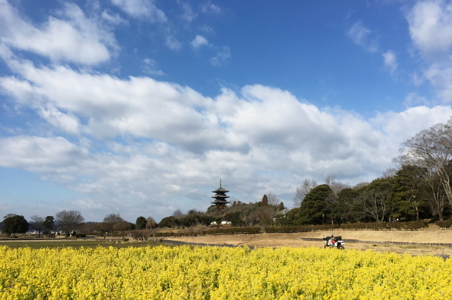 春の気配プチツーリング 備中国分寺篇_f0368610_07580159.jpg