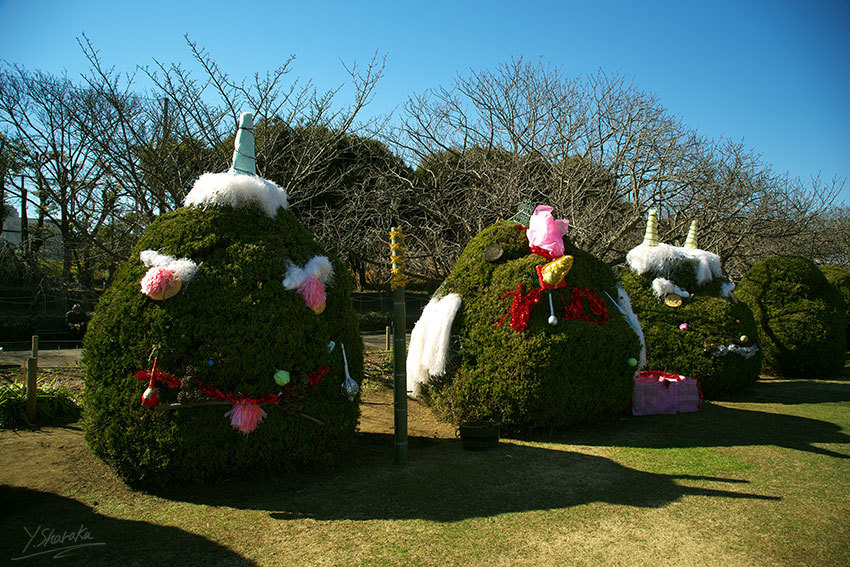 f0344614_00524638.jpg