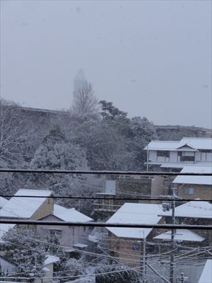 1月15日 雪_f0034816_782484.jpg