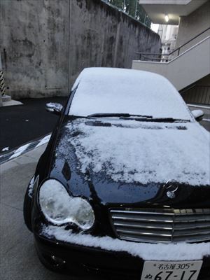 1月15日 雪_f0034816_79623.jpg