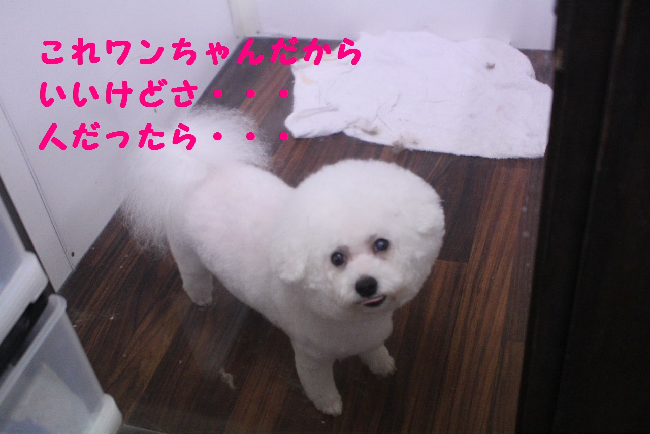 やちむんむっしゅさん＆mano619さんの器入荷しましたぁ～！！_b0130018_1023350.jpg