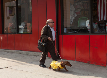 トッド・ソロンズの子犬物語 (トッド・ソロンズ監督 / 原題 : Wiener Dog)_e0345320_23242694.jpg