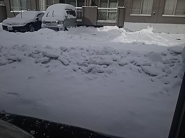f0227321_19273575.jpg