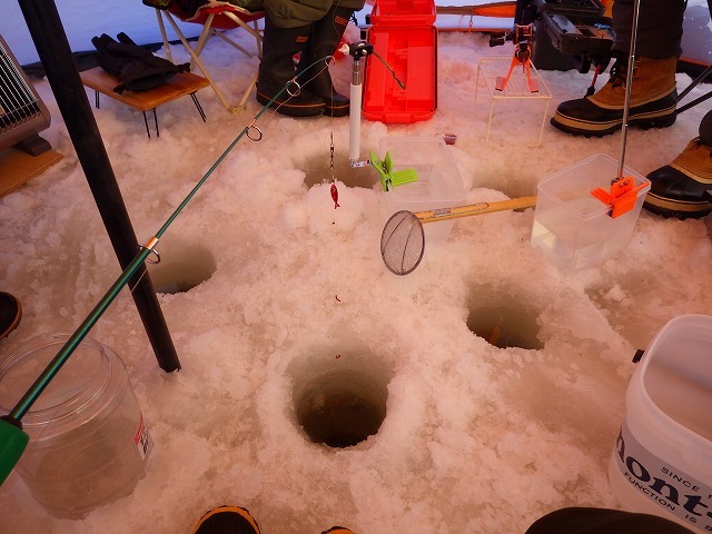 a0337237_15384037.jpg