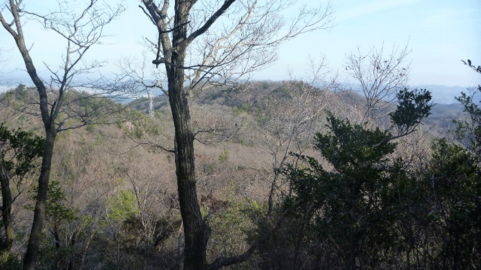 e0371039_713354.gif