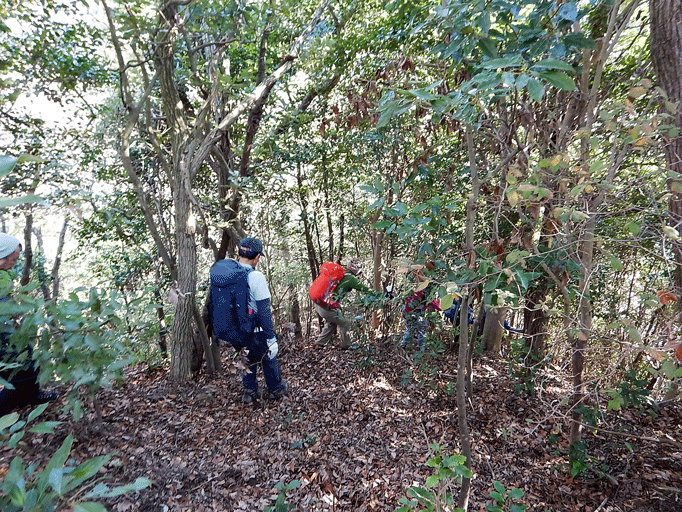 e0371039_7154438.gif