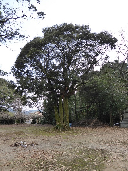 ひめちゃご５５　新延の鎧塚古墳群と剣神社　剣岳に向かっていたヤマトタケルたち_c0222861_21340357.jpg