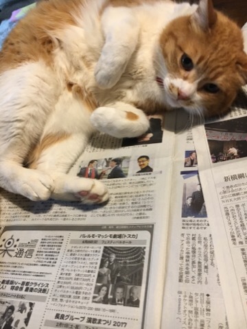 節分_f0363168_20245112.jpg