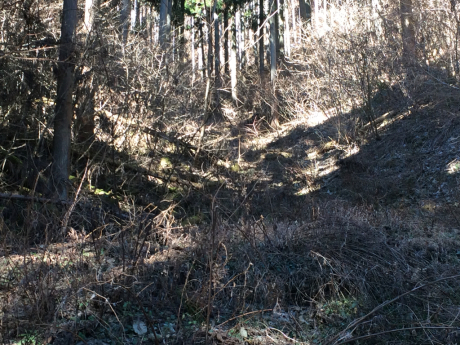 c0206177_18234138.jpg