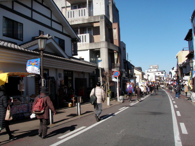 成田山は鰻がメインv_c0051781_225885.jpg