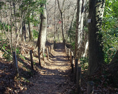 b0123486_17385730.jpg
