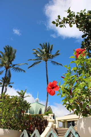 ハワイの花ある風景④ハイビスカス_a0290690_07443604.jpg