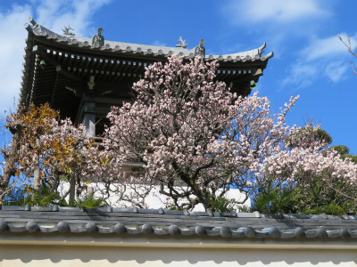 c0125501_23525932.jpg