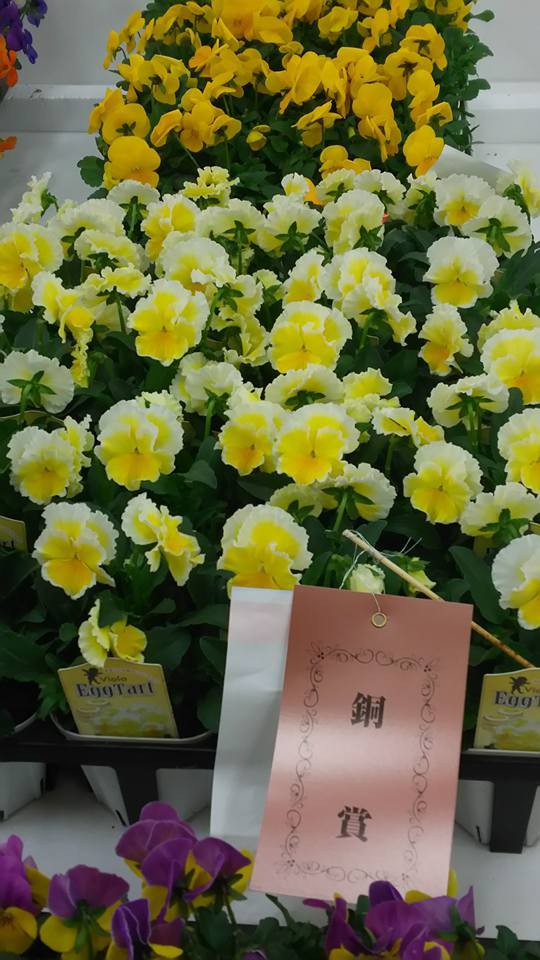 植物の話をいっぱいしよう♪_b0331802_20084431.jpg