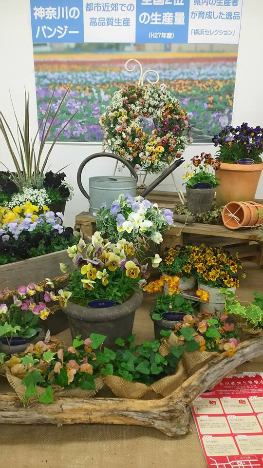 植物の話をいっぱいしよう♪_b0331802_20084479.jpg